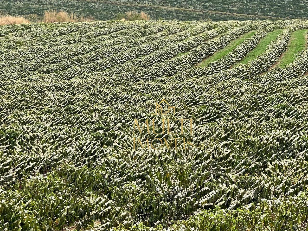 Fazenda à venda, 3200000M2 - Foto 8