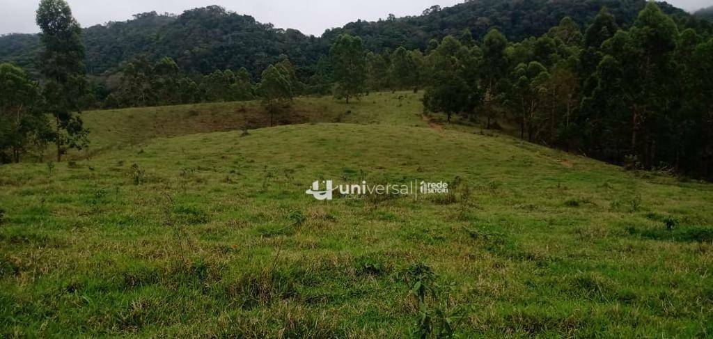Fazenda à venda com 3 quartos, 1110000M2 - Foto 71