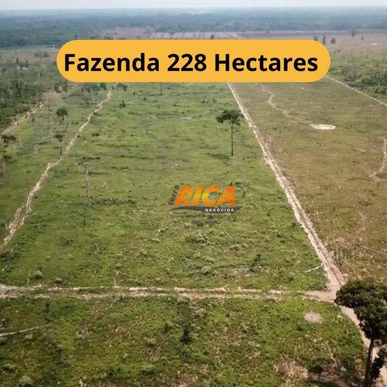 Fazenda-Sítio-Chácara, 228 hectares - Foto 1