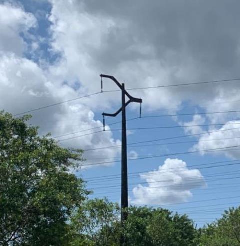 Terreno, 5 hectares - Foto 4