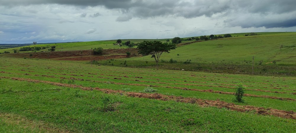 Fazenda à venda, 13m² - Foto 8