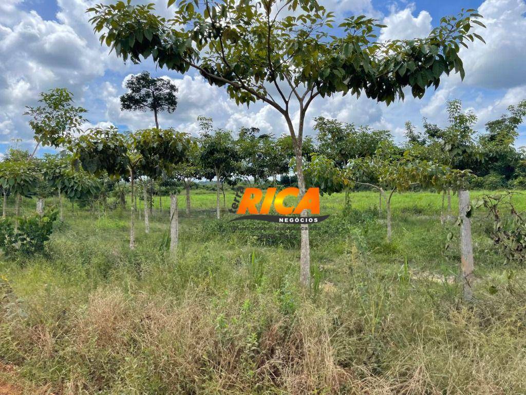 Fazenda à venda, 1110000M2 - Foto 22