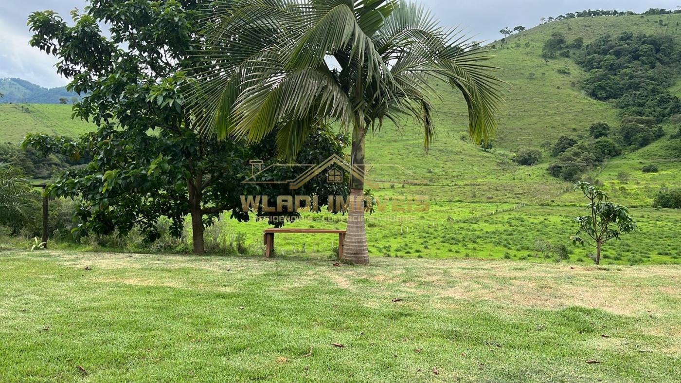 Fazenda à venda com 3 quartos, 20000m² - Foto 11