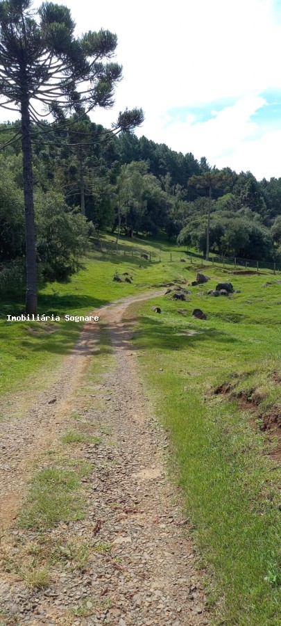 Terreno à venda - Foto 21