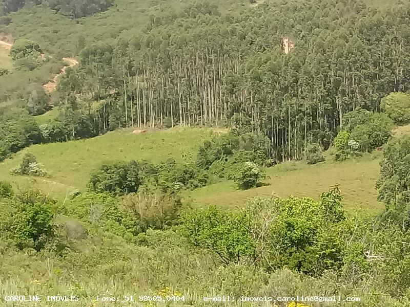 Loteamento e Condomínio à venda, 90000m² - Foto 19