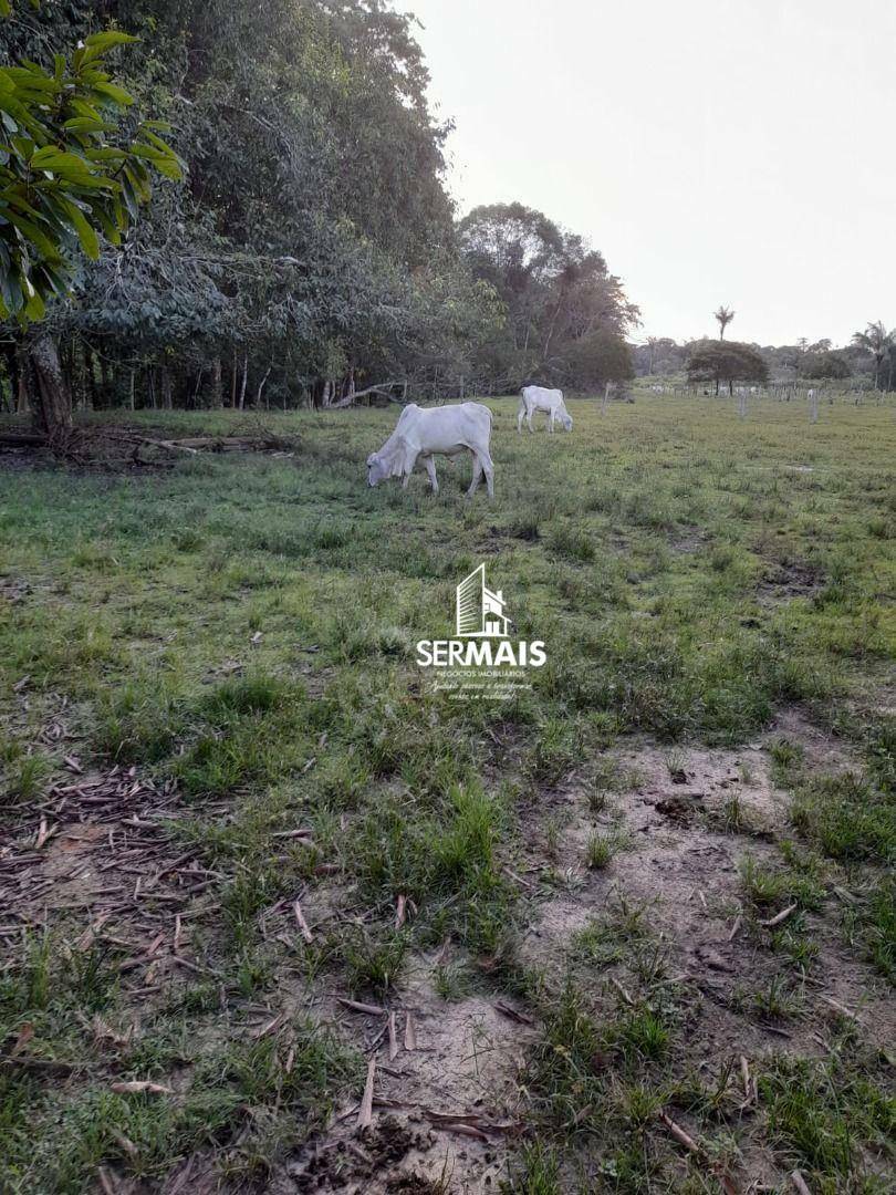 Fazenda à venda, 1000000M2 - Foto 4