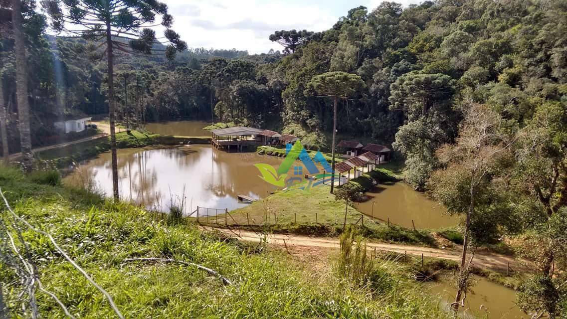 Chácara à venda com 30 quartos, 85000M2 - Foto 8