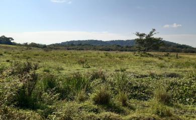 Fazenda à venda com 3 quartos, 110000m² - Foto 15