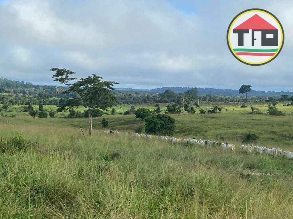 Fazenda à venda, 9196000M2 - Foto 1