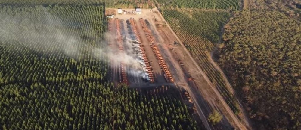 Fazenda à venda, 1700m² - Foto 4