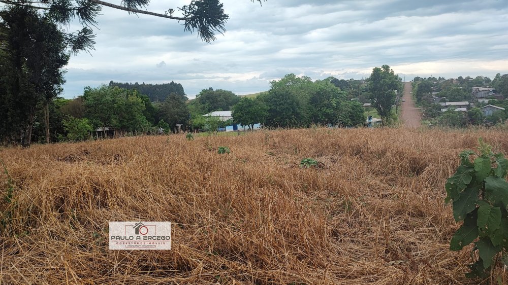 Fazenda à venda com 1 quarto, 1780m² - Foto 4