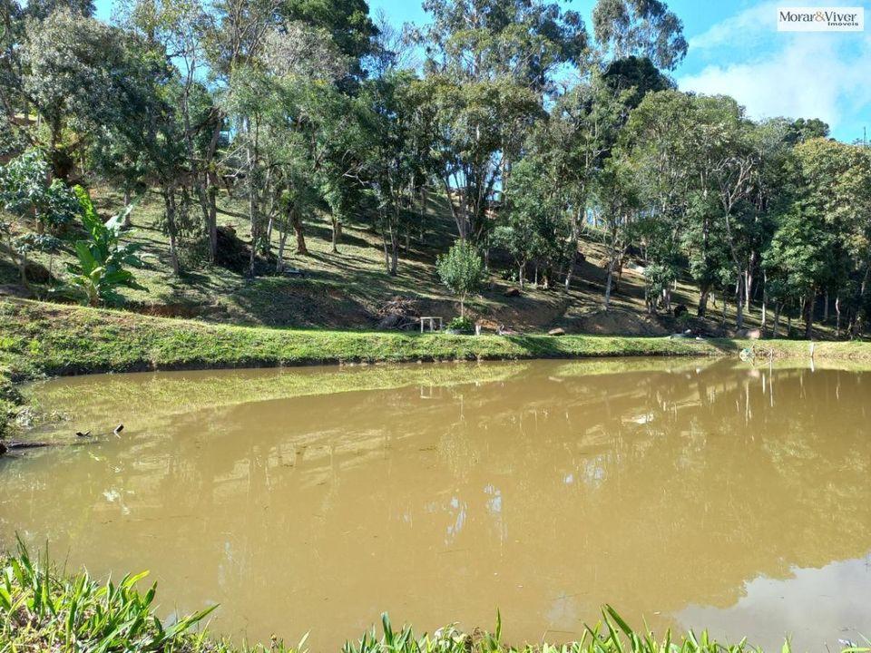 Fazenda à venda, 8000m² - Foto 8