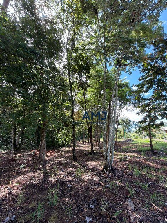 Loteamento e Condomínio, 1495 m² - Foto 5