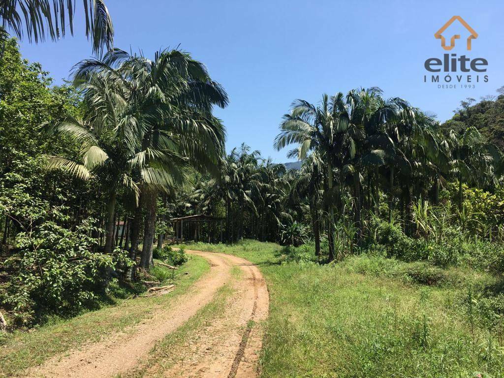 Fazenda à venda com 5 quartos, 4822600M2 - Foto 20