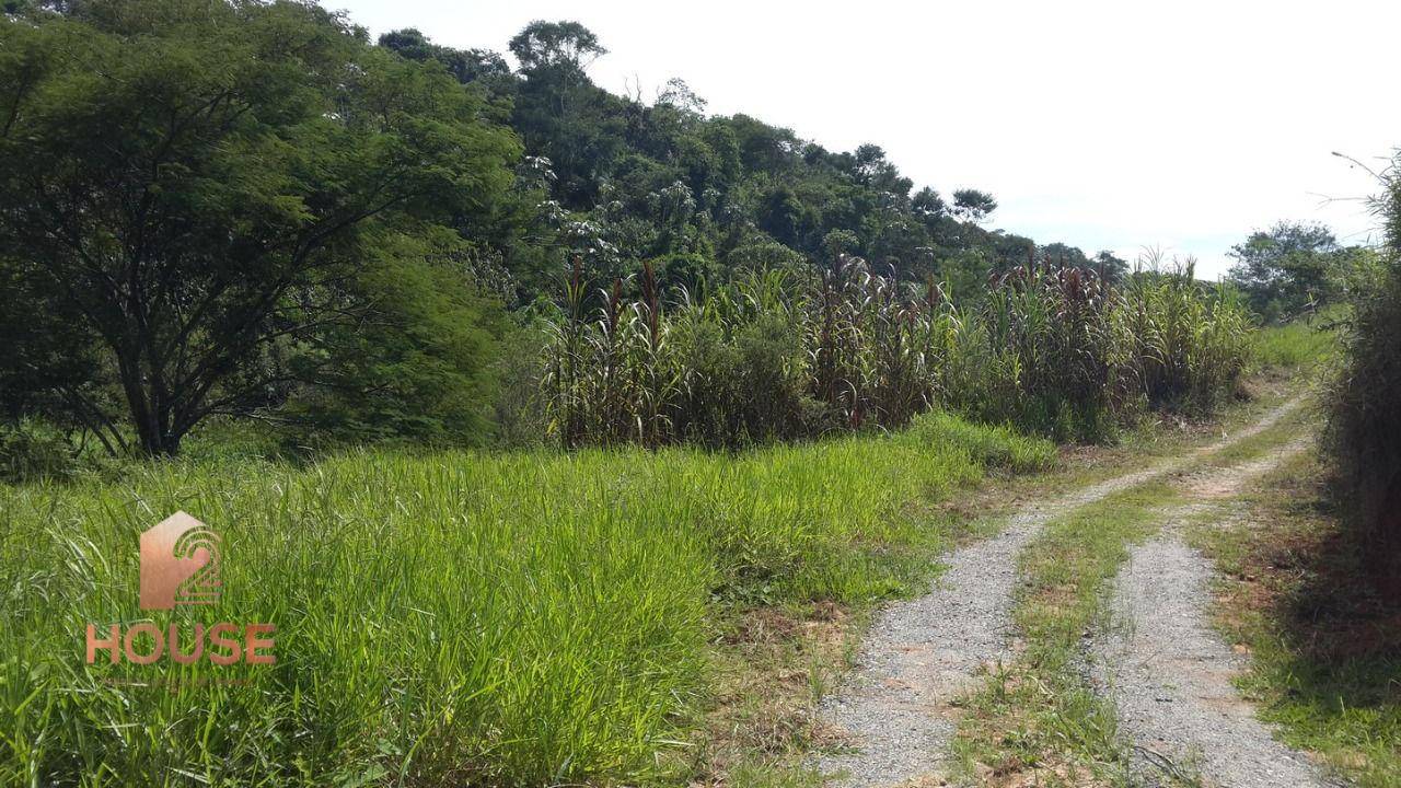 Terreno, 2 hectares - Foto 6