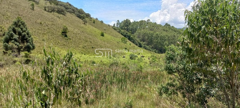 Fazenda à venda com 2 quartos, 150m² - Foto 10