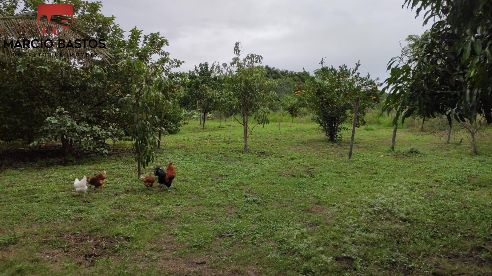 Fazenda à venda, 120m² - Foto 30