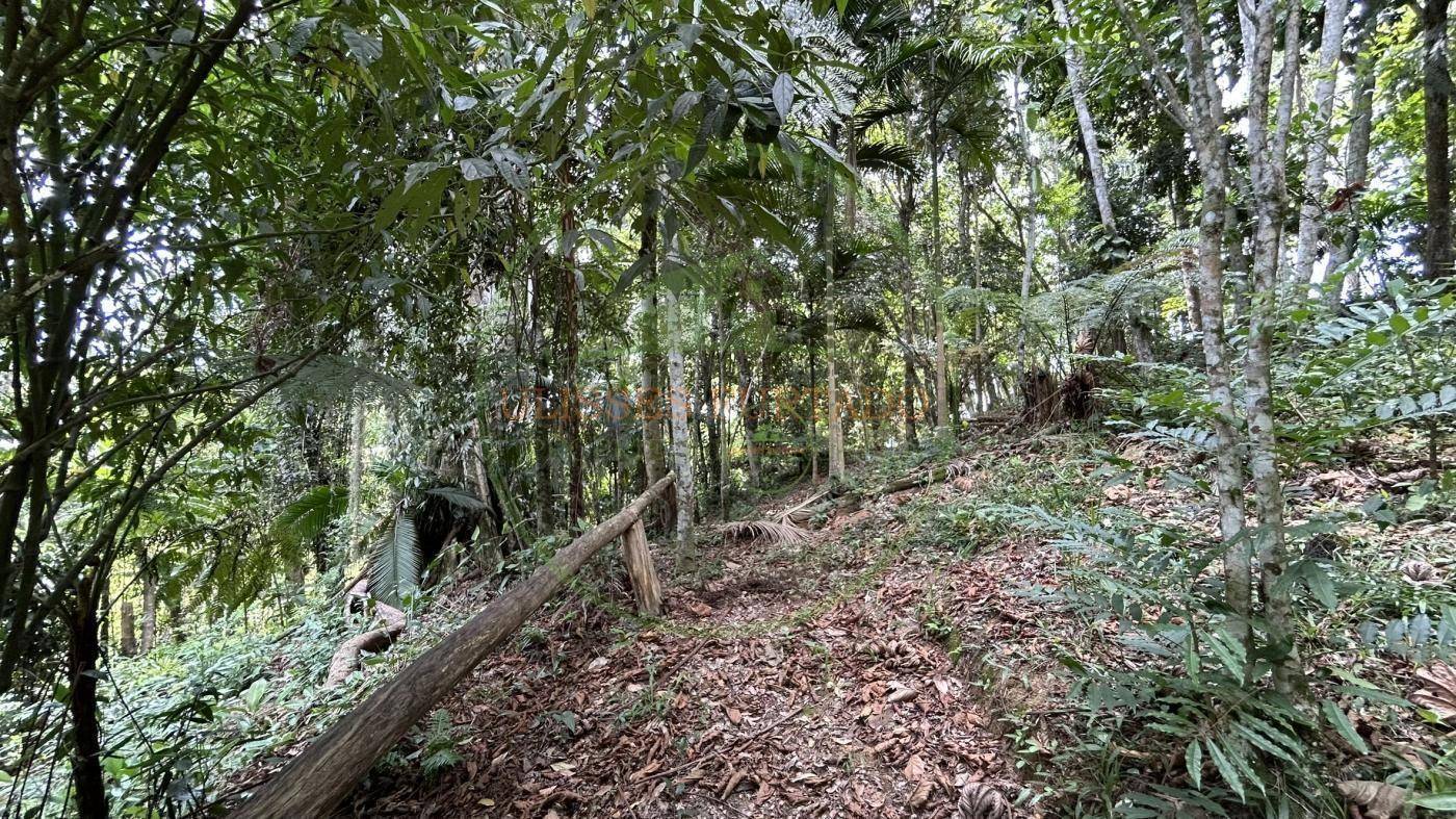 Sítio, 24 m² - Foto 36