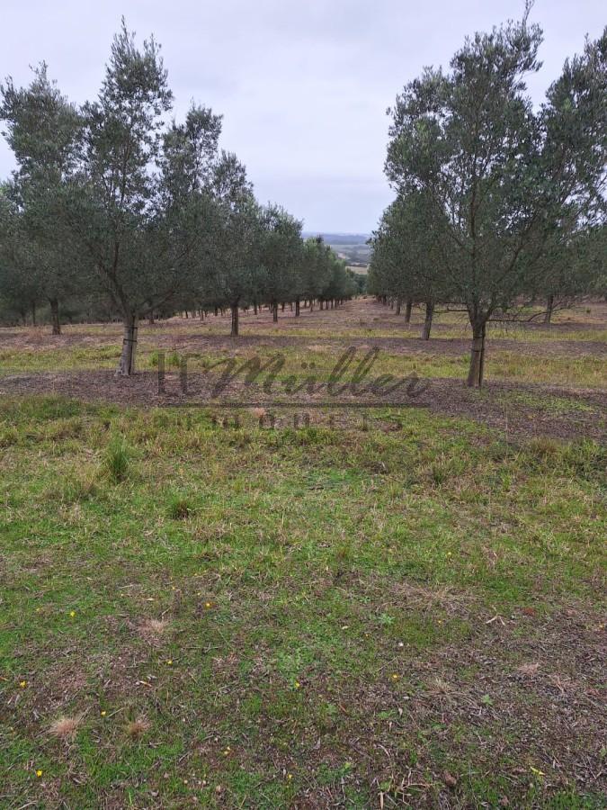 Fazenda à venda, 59m² - Foto 32
