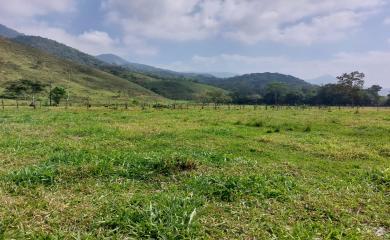 Fazenda à venda com 3 quartos, 290000m² - Foto 18