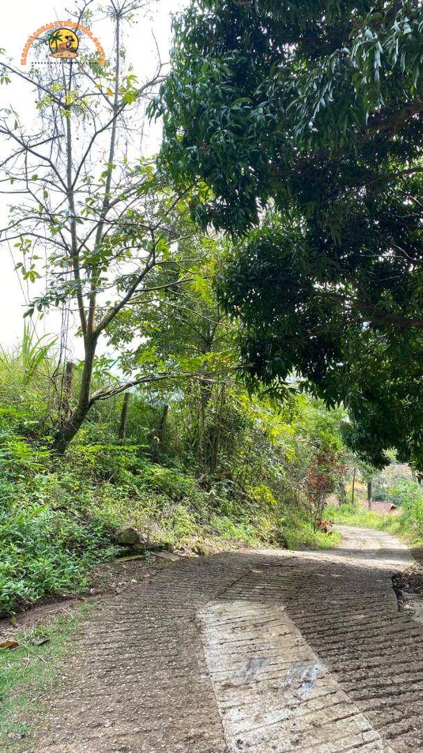 Terreno, 1907 m² - Foto 5