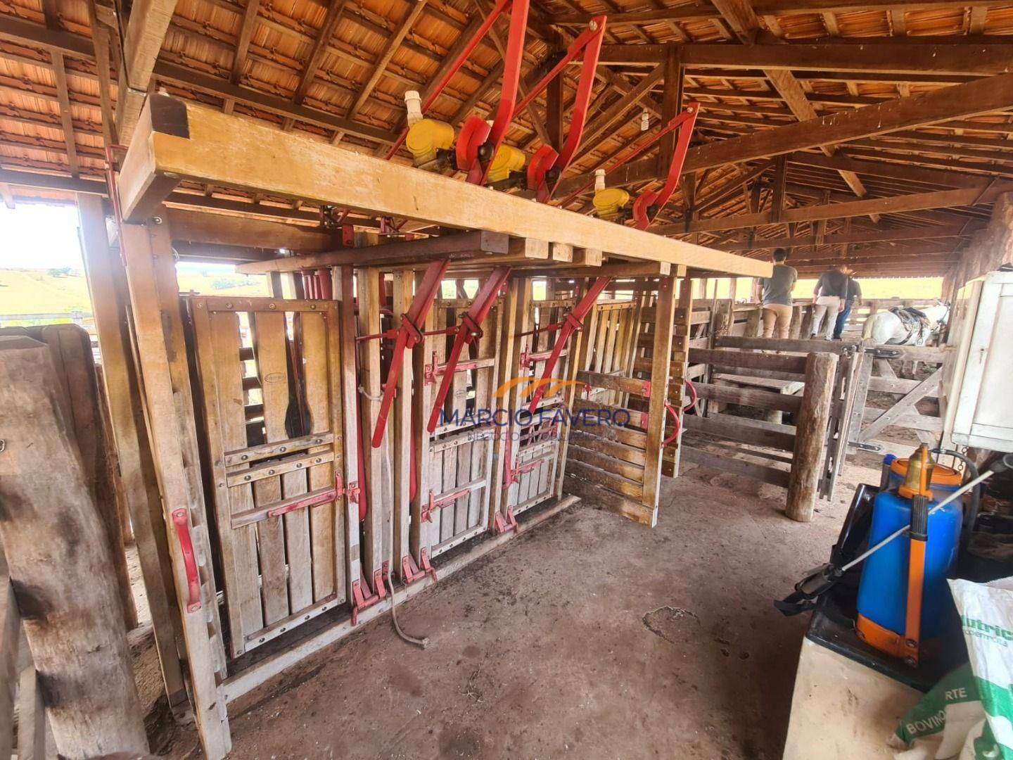 Fazenda à venda, 2299000M2 - Foto 10