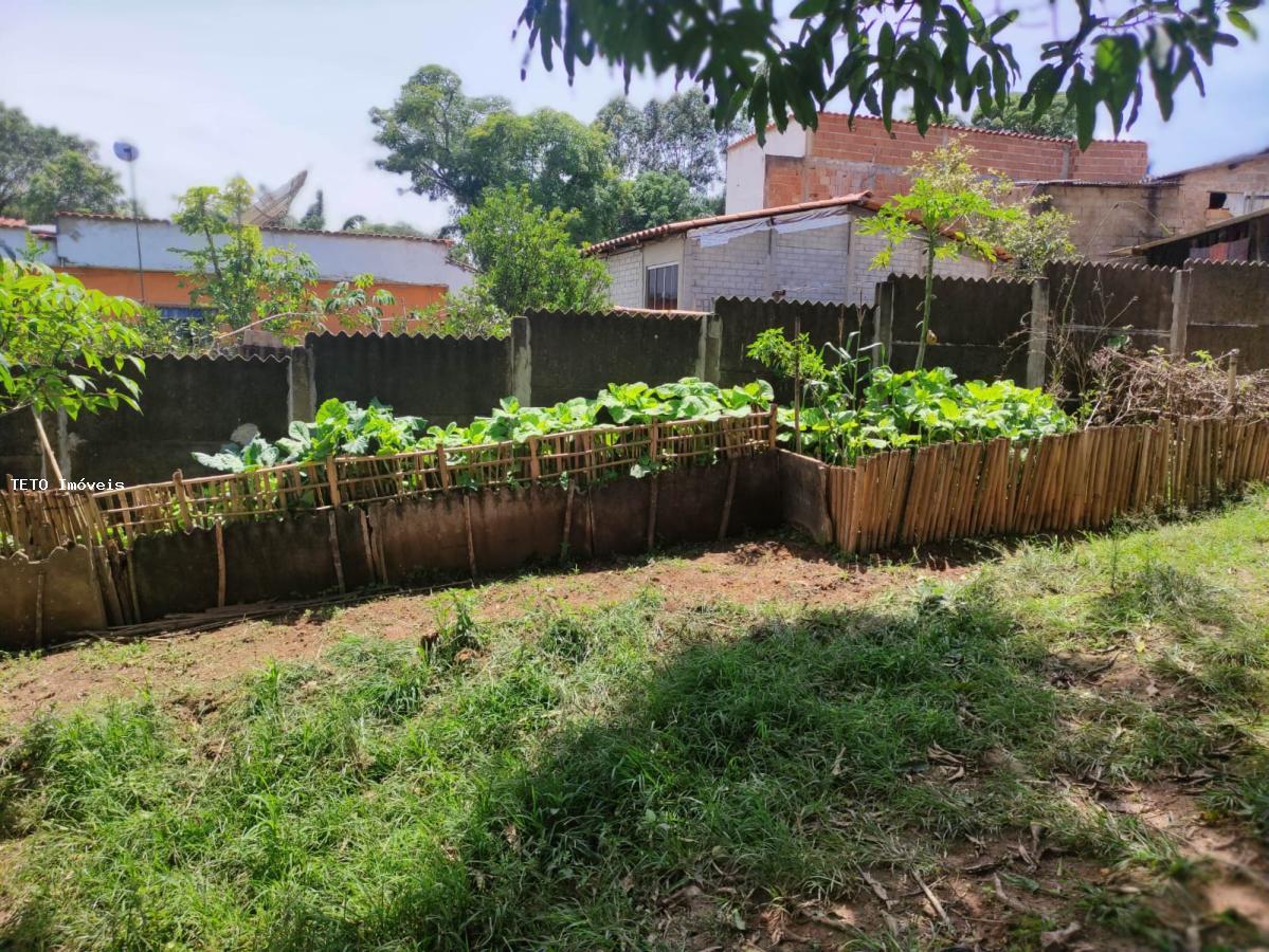 Fazenda à venda com 3 quartos, 1000m² - Foto 31