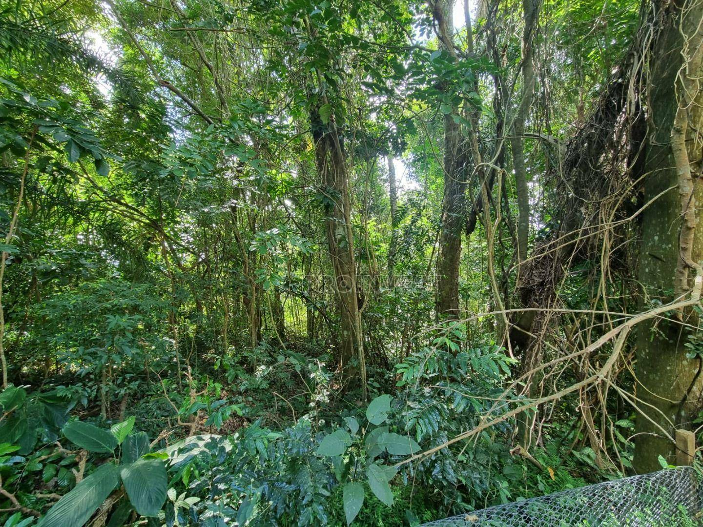 Loteamento e Condomínio à venda, 540M2 - Foto 14