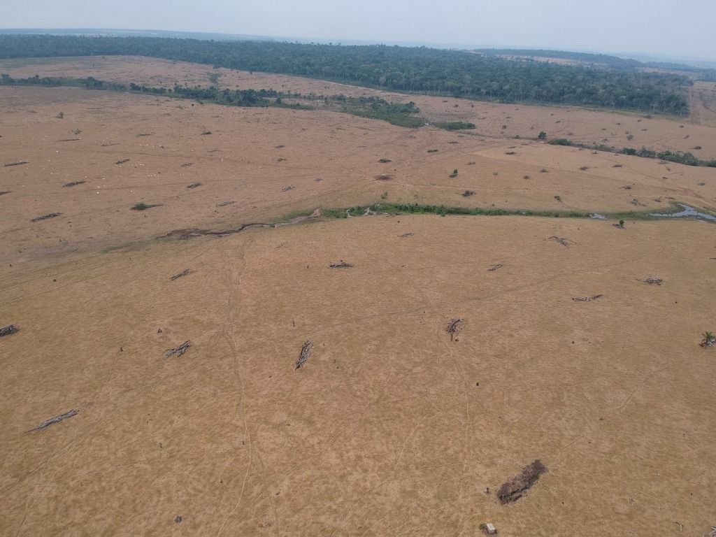 Fazenda à venda, 41140000M2 - Foto 9