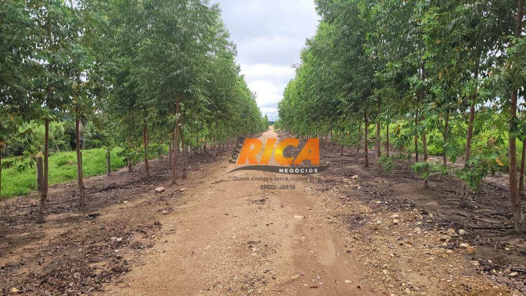 Fazenda à venda com 2 quartos, 4100000M2 - Foto 5