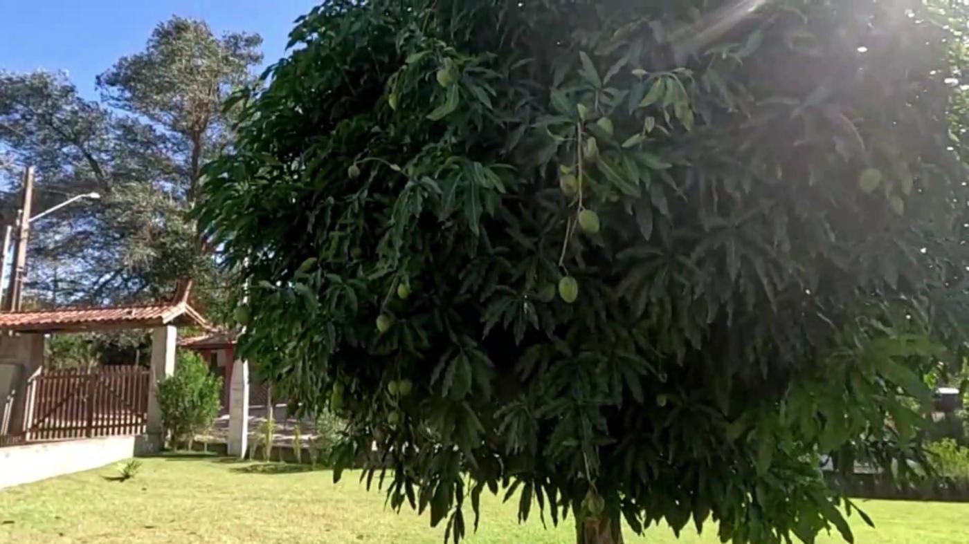 Casa de Condomínio à venda com 2 quartos, 2000m² - Foto 26