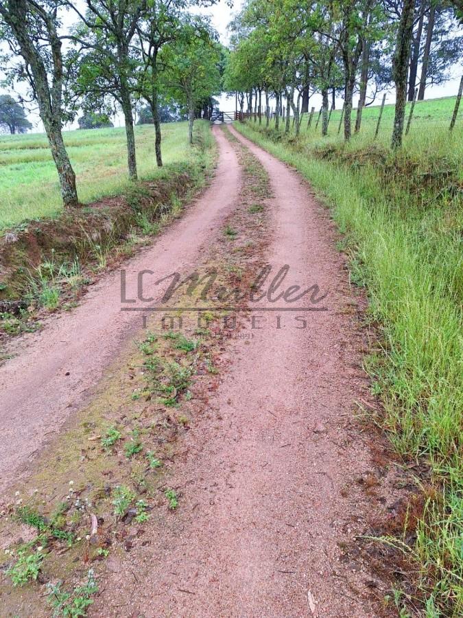 Fazenda à venda, 59m² - Foto 4
