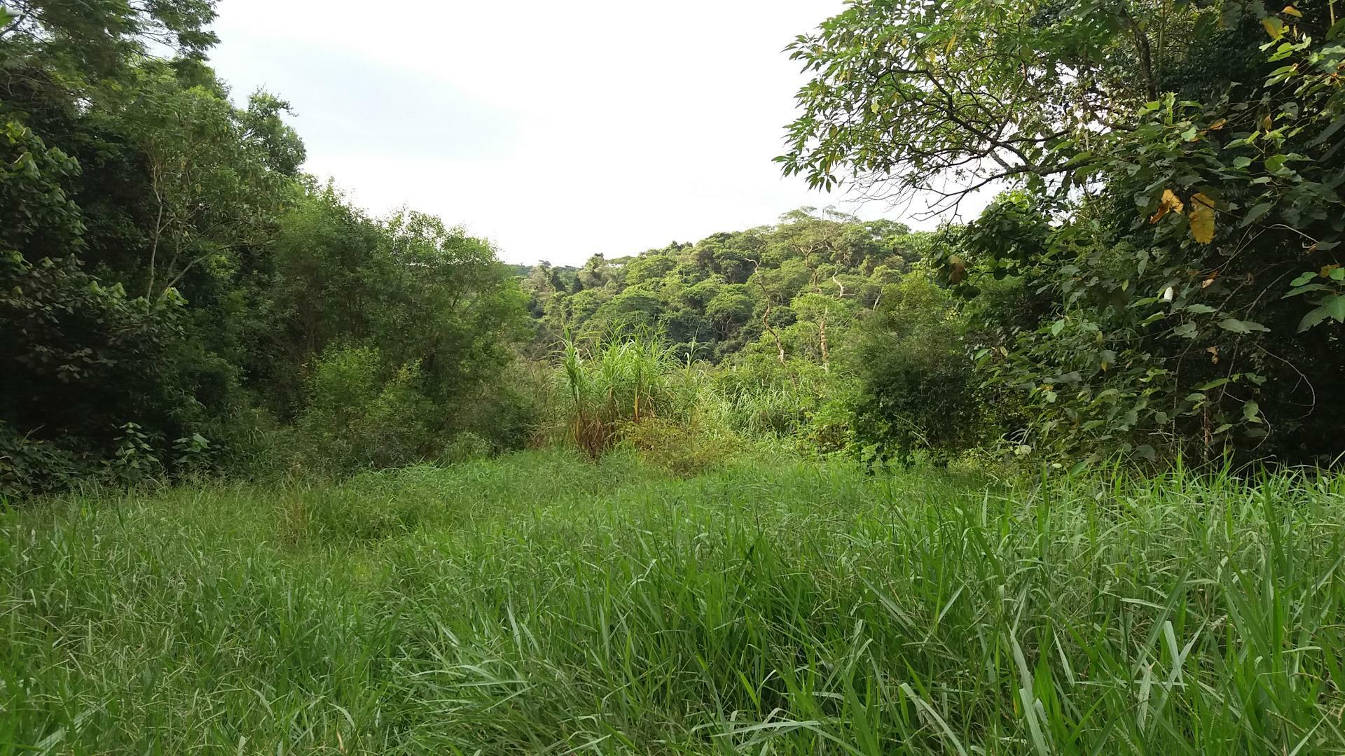 Terreno, 6769 m² - Foto 1