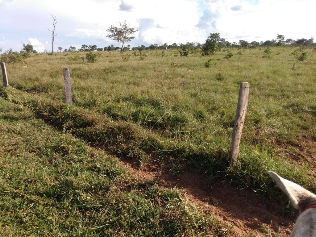 Fazenda à venda, 9873600M2 - Foto 5