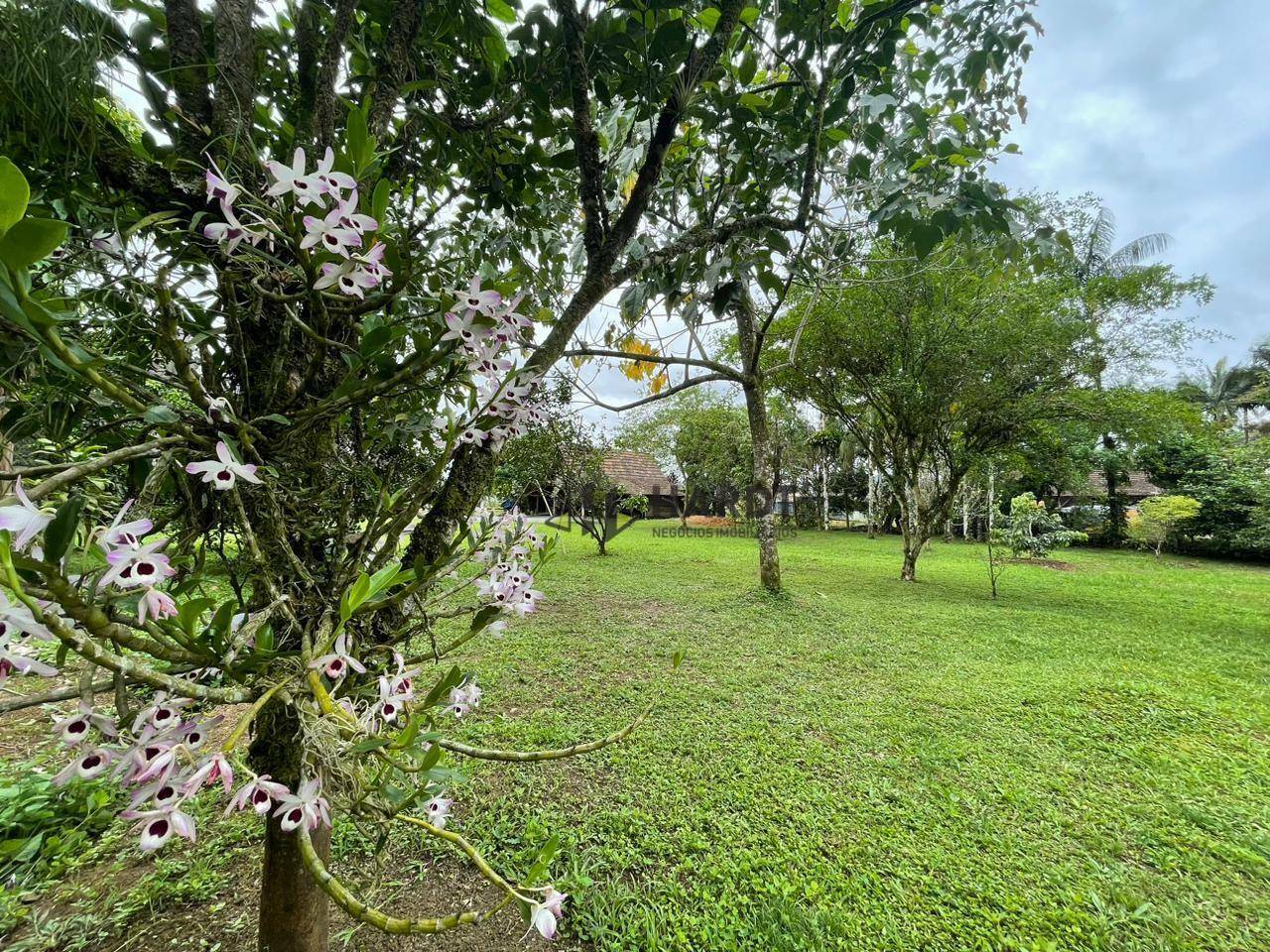 Chácara à venda com 3 quartos, 110m² - Foto 19