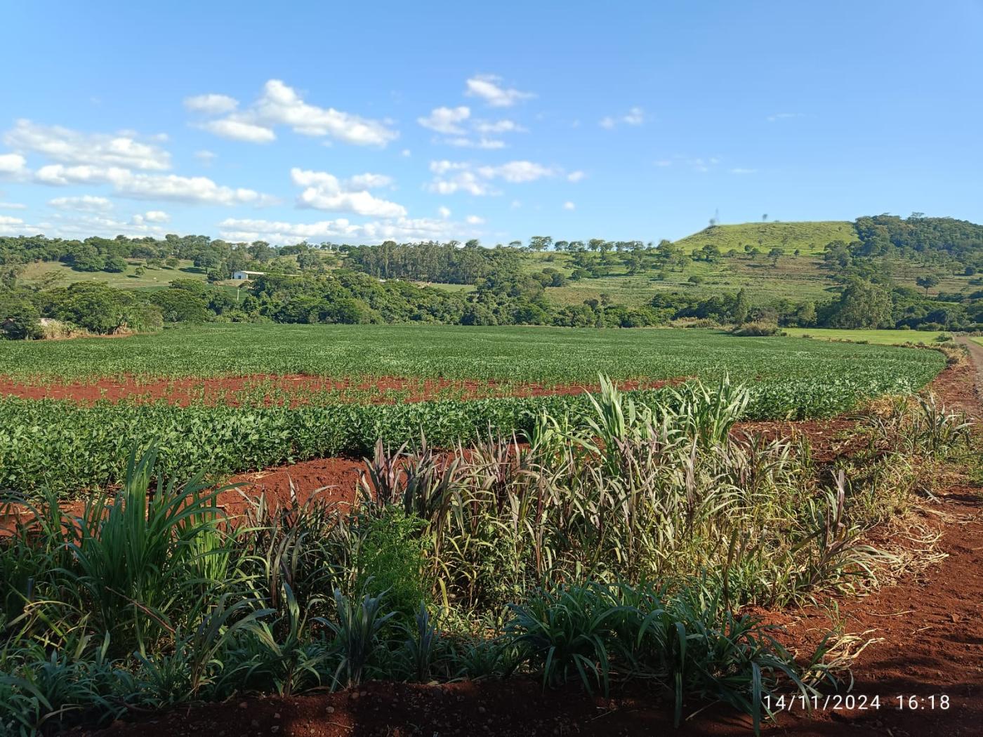 Fazenda à venda, 81160m² - Foto 3