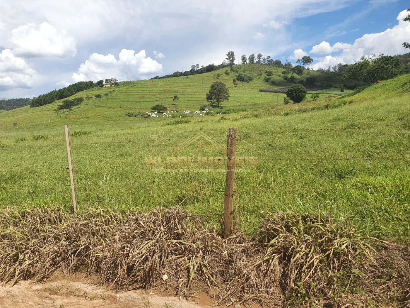 Fazenda à venda, 224m² - Foto 12