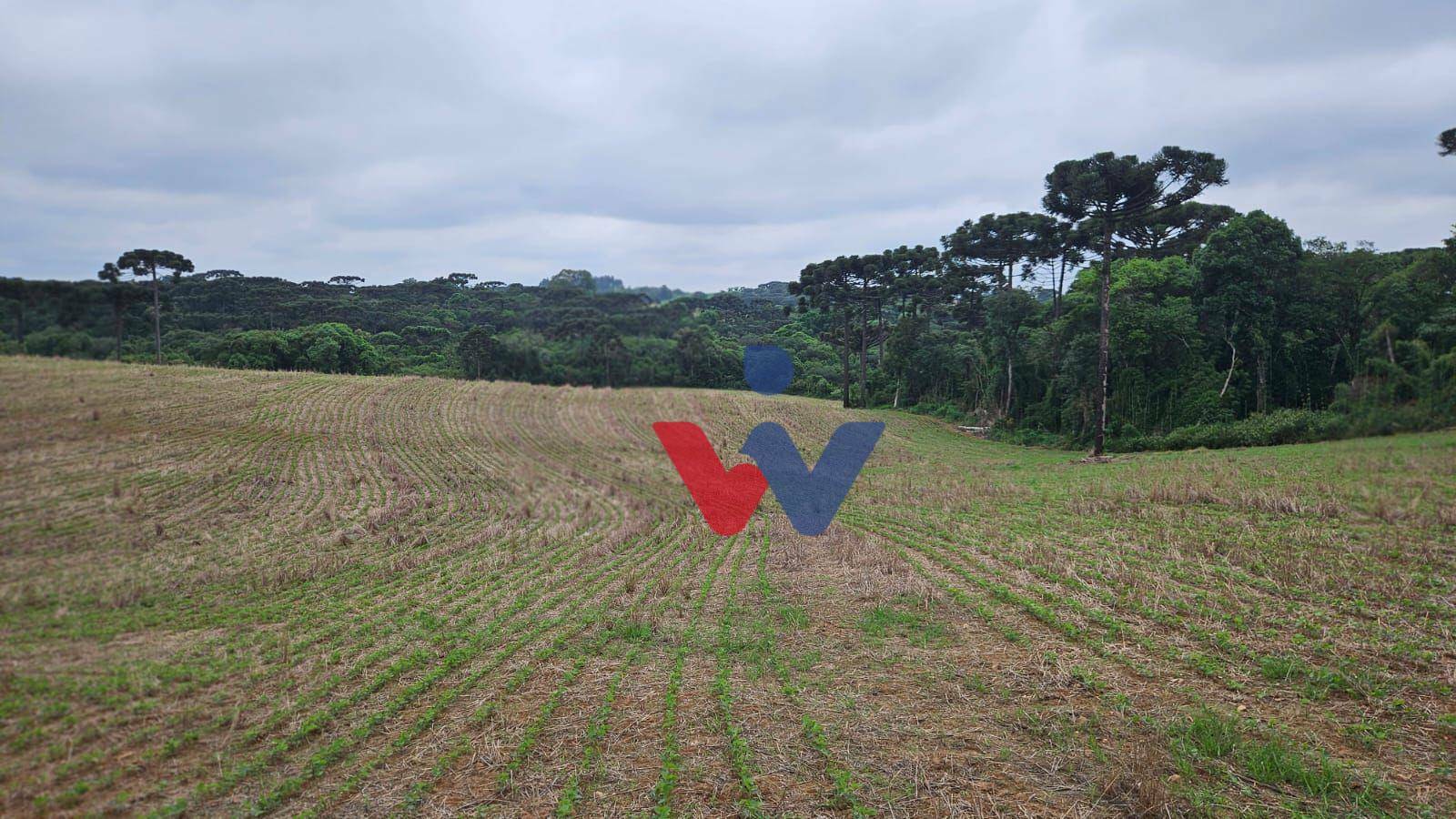 Fazenda à venda com 3 quartos, 1694000M2 - Foto 29