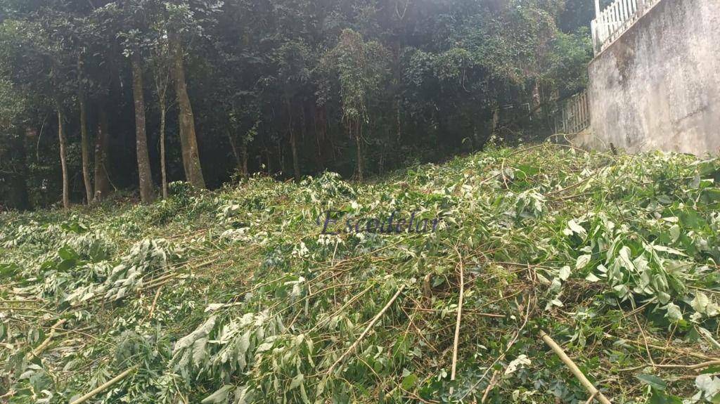 Loteamento e Condomínio à venda, 780M2 - Foto 7