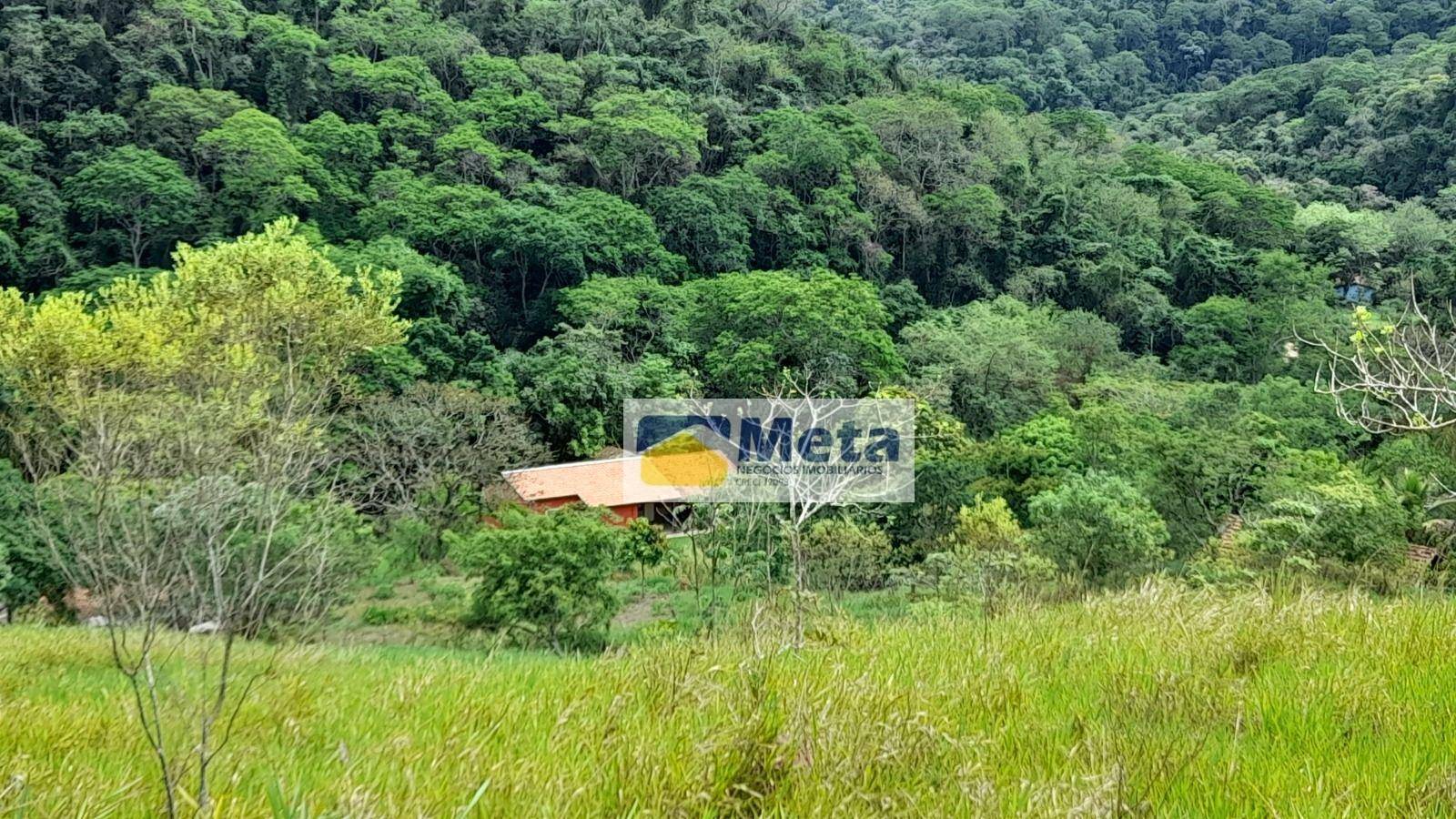 Sítio, 8 hectares - Foto 5