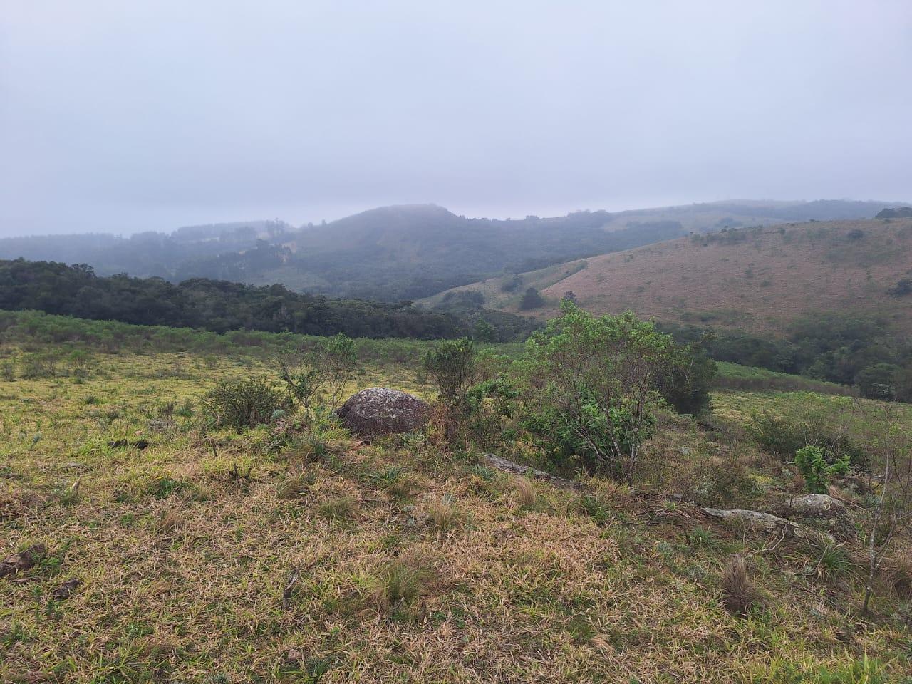 Loteamento e Condomínio à venda, 160000m² - Foto 4