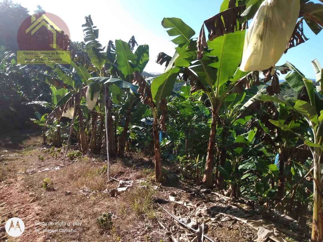 Fazenda à venda com 2 quartos, 8m² - Foto 8