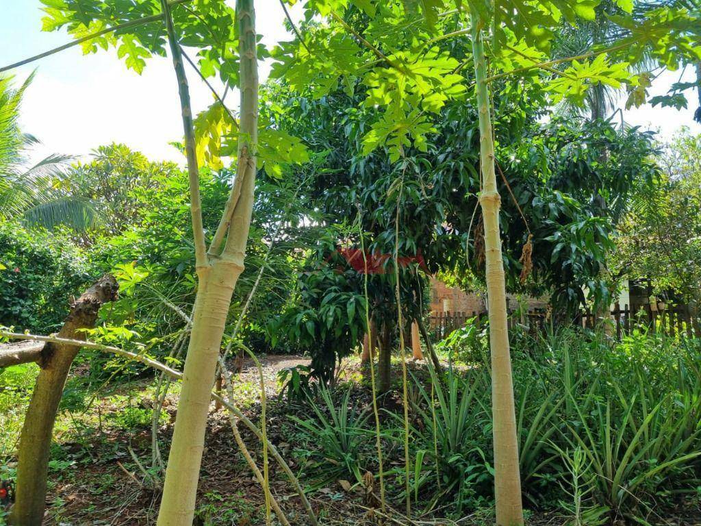 Chácara à venda com 2 quartos, 1000M2 - Foto 7