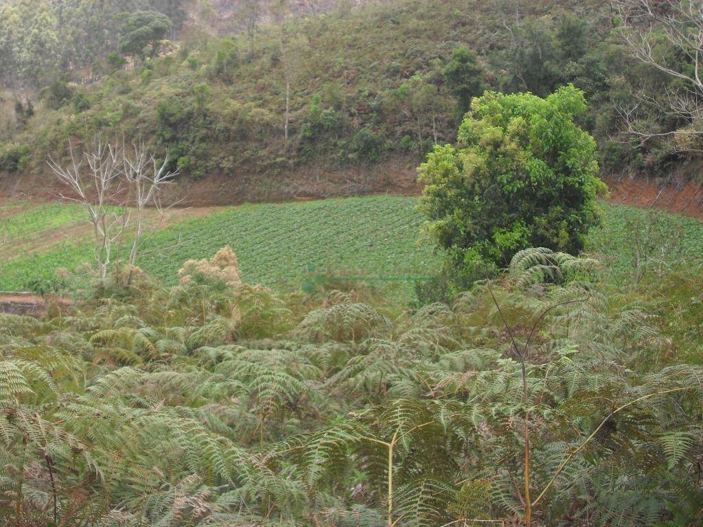 Loteamento e Condomínio à venda, 1024M2 - Foto 16