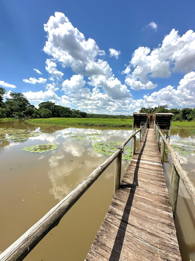 Chácara à venda com 2 quartos, 5000m² - Foto 1