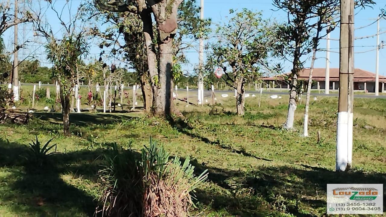 Terreno à venda, 484000m² - Foto 3