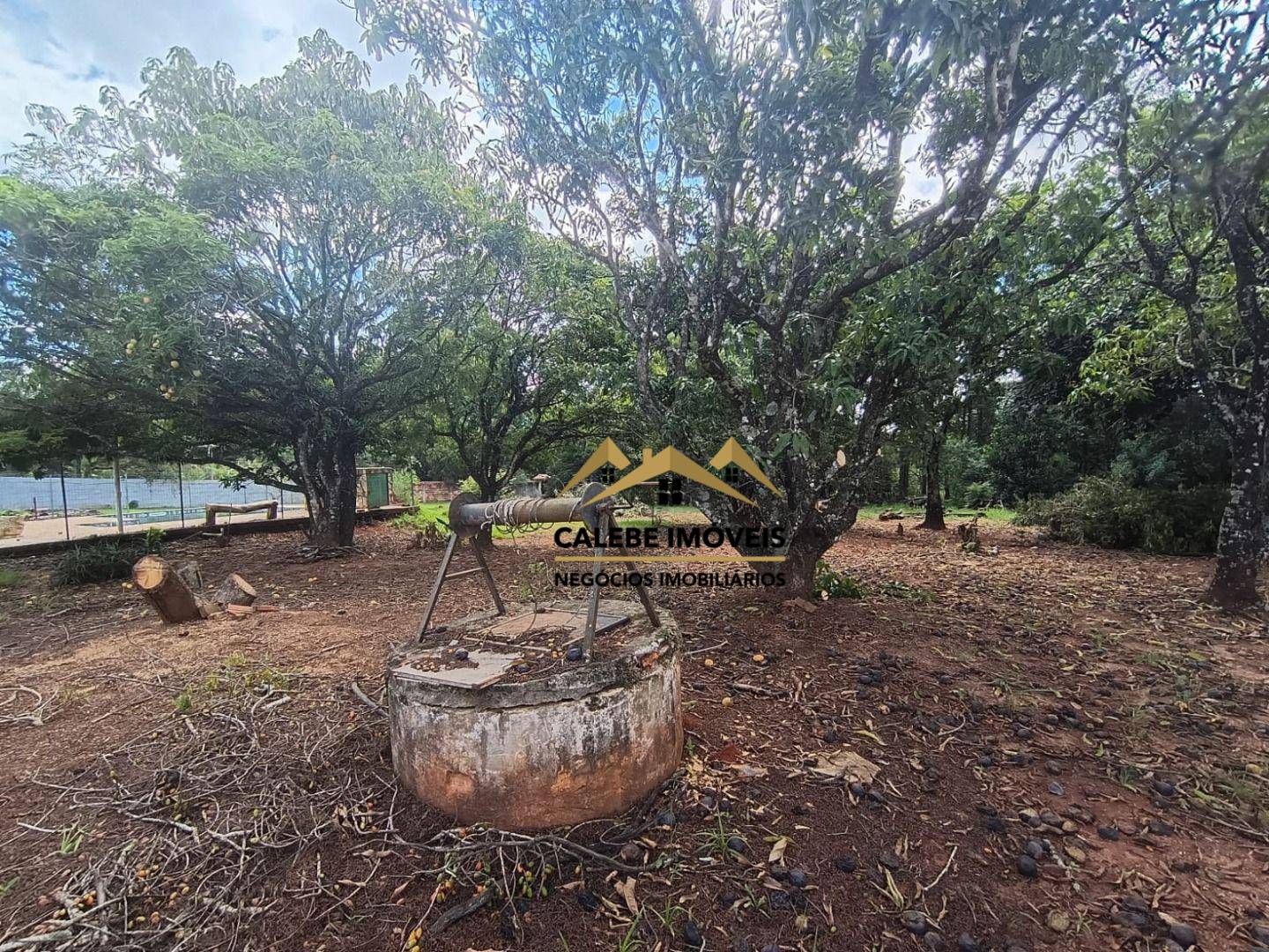 Terreno, 1000 m² - Foto 6