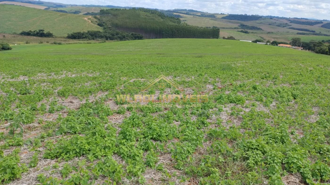 Fazenda à venda, 160m² - Foto 13