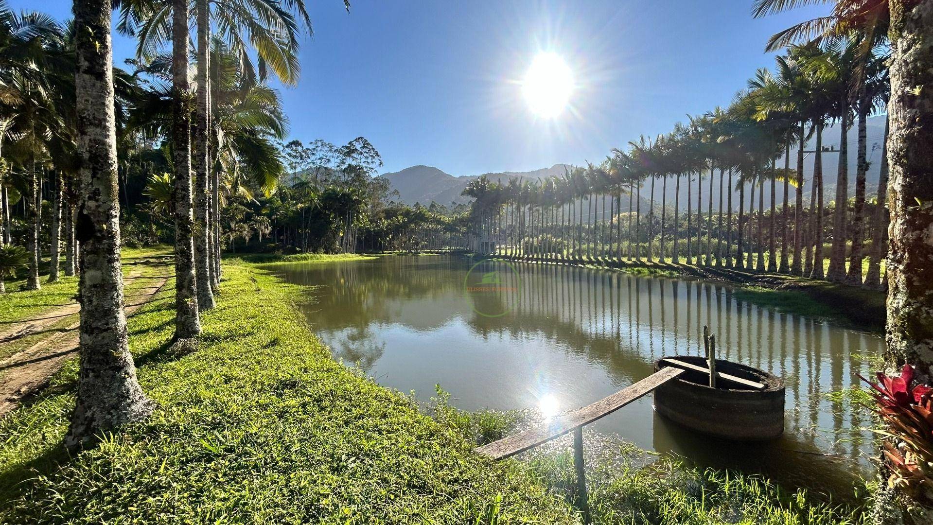 Sítio, 19 hectares - Foto 38