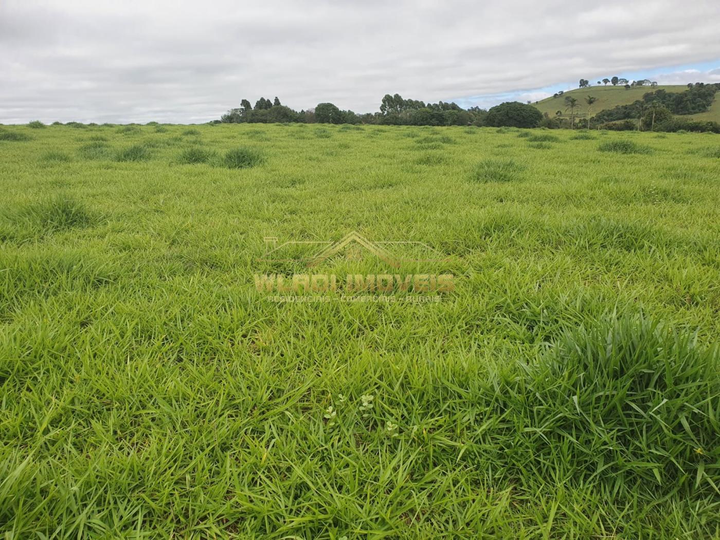 Fazenda à venda, 150m² - Foto 2